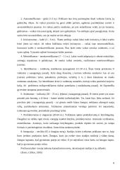 Psichosocialinis socialinio darbo teorijos modelis 8 puslapis