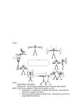 Rankininkų fizinis rengimas 4 puslapis