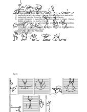 Rankininkų fizinis rengimas 7 puslapis
