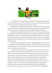 Rankinio raida Lietuvoje 2 puslapis