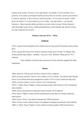 Rankinio raida Lietuvoje 3 puslapis