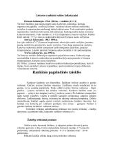 Rankinio atsiradimas ir raida 3 puslapis