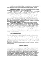 Rankinio atsiradimas ir raida 4 puslapis