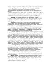 Rankinio atsiradimas ir raida 5 puslapis