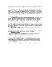 Rankinio atsiradimas ir raida 7 puslapis