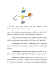 Saulės energijos potencialo panaudojimas 11 puslapis