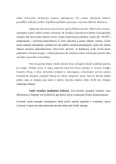 Saulės energijos potencialo panaudojimas 12 puslapis