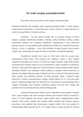 Saulės energijos potencialo panaudojimas 8 puslapis