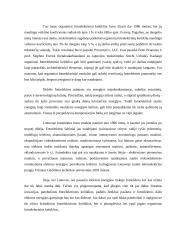 Saulės energijos potencialo panaudojimas 10 puslapis