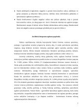 Specialiųjų ugdymosi poreikių vaikų integruotas ugdymas: Šiaulių pagrindinė mokykla 3 puslapis