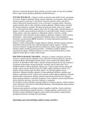 Sportinės traumos 8 puslapis