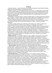 Sportinių varžybų organizavimas