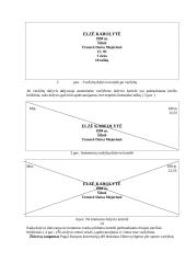 Sportinių varžybų organizavimas 12 puslapis