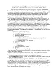 Sportinių varžybų organizavimas 3 puslapis