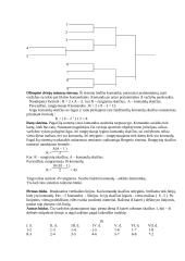 Sportinių varžybų organizavimas 8 puslapis