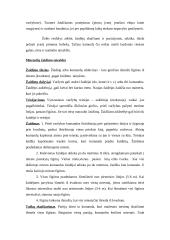 Sporto ir judrieji žaidimai 11 puslapis