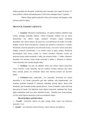 Sporto ir judrieji žaidimai 12 puslapis