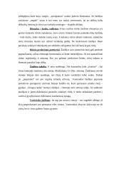 Sporto ir judrieji žaidimai 14 puslapis