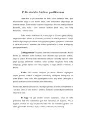 Sporto ir judrieji žaidimai 9 puslapis