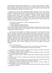 Sporto renginių organizavimas 4 puslapis