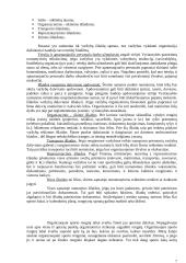 Sporto renginių organizavimas 7 puslapis