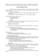 Sporto renginių organizavimas 8 puslapis