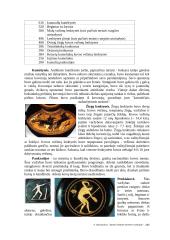 Sporto žaidynės Senovės Graikijoje 5 puslapis