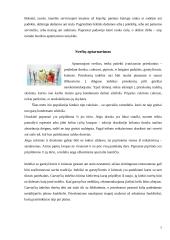 Stalo įrankiai bei indai 7 puslapis