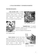 Stalo puošybos elementai 2 puslapis