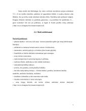 Stalo puošybos elementai 5 puslapis