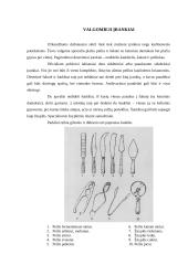 Stalų serviravimas 12 puslapis