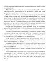 Studentų fizinis parengtumas 5 puslapis