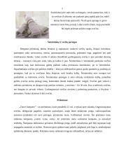 Svečių iš užsienio priėmimas ir vaišinimas 2 puslapis