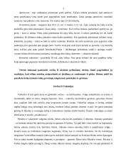 Svečių iš užsienio priėmimas ir vaišinimas 3 puslapis