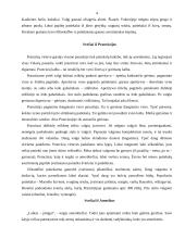 Svečių iš užsienio priėmimas ir vaišinimas 4 puslapis