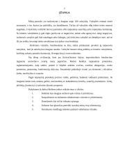 Svečių sutikimas. Vizitai 2 puslapis