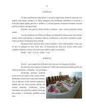 Svečių sutikimas. Vizitai 11 puslapis