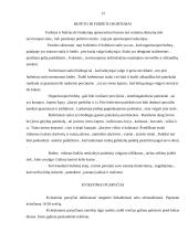 Svečių sutikimas. Vizitai 13 puslapis