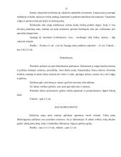 Svečių sutikimas. Vizitai 15 puslapis