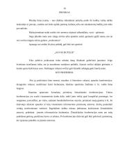 Svečių sutikimas. Vizitai 16 puslapis