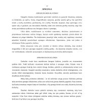 Svečių sutikimas. Vizitai 17 puslapis