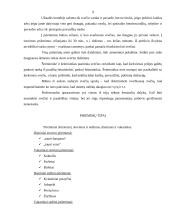 Svečių sutikimas. Vizitai 9 puslapis