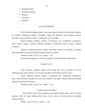 Svečių sutikimas. Vizitai 10 puslapis