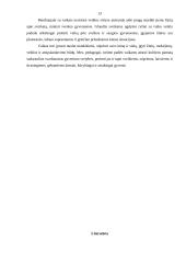 Sveikatos saugojimo kompetencijos ugdymas ir raiška vaikų žaidimuose 13 puslapis