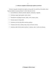 Sveikatos saugojimo kompetencijos ugdymas ir raiška vaikų žaidimuose 3 puslapis