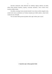 Sveikatos saugojimo kompetencijos ugdymas ir raiška vaikų žaidimuose 5 puslapis