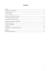 Šeima ir ją supančios vertybės 2 puslapis