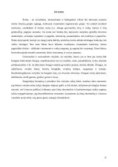 Šeima ir ją supančios vertybės 11 puslapis