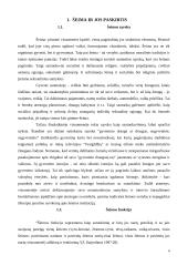 Šeima ir ją supančios vertybės 4 puslapis