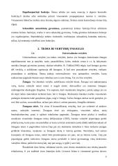 Šeima ir ją supančios vertybės 6 puslapis